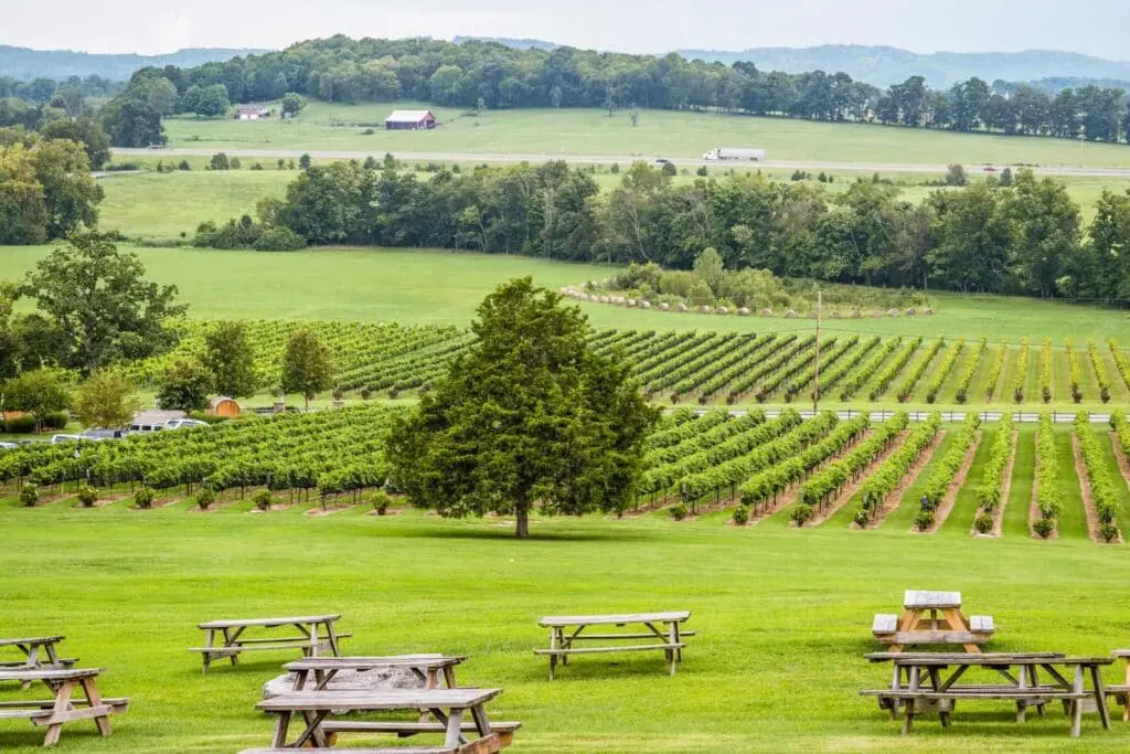 Arrington Vineyards — Brugada Kitchen & Bar Nashville